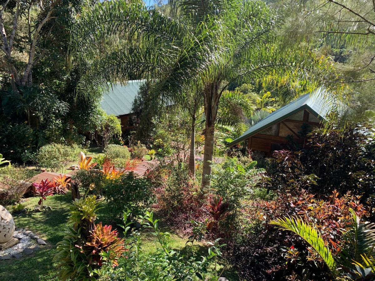 Le Nirvana - Oasis De Tendea - Farino Exterior photo