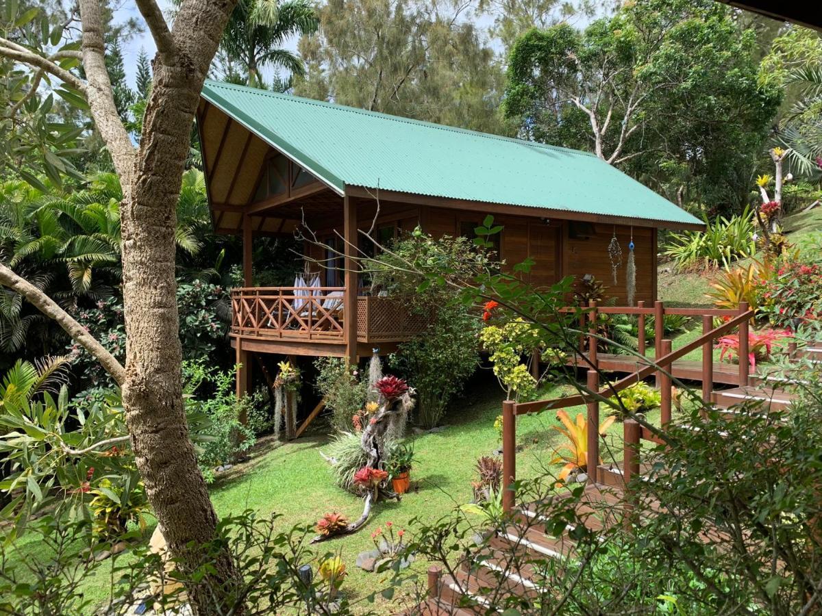 Le Nirvana - Oasis De Tendea - Farino Exterior photo